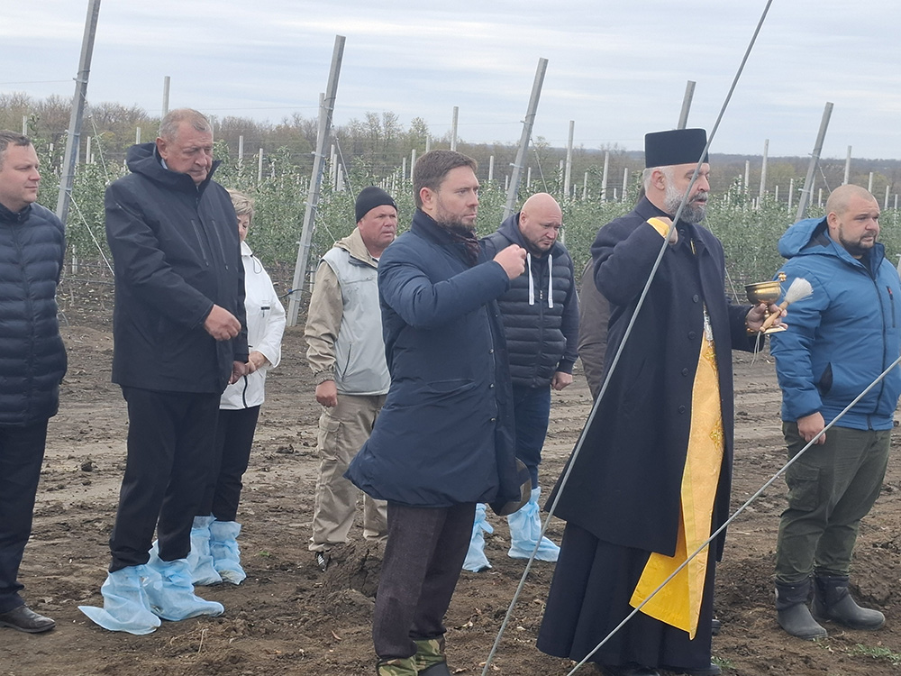 В Новоалександровском муниципальном округе развивается садоводство.