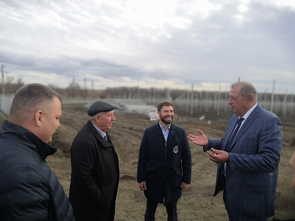 В Новоалександровском округе возрождается садоводство.