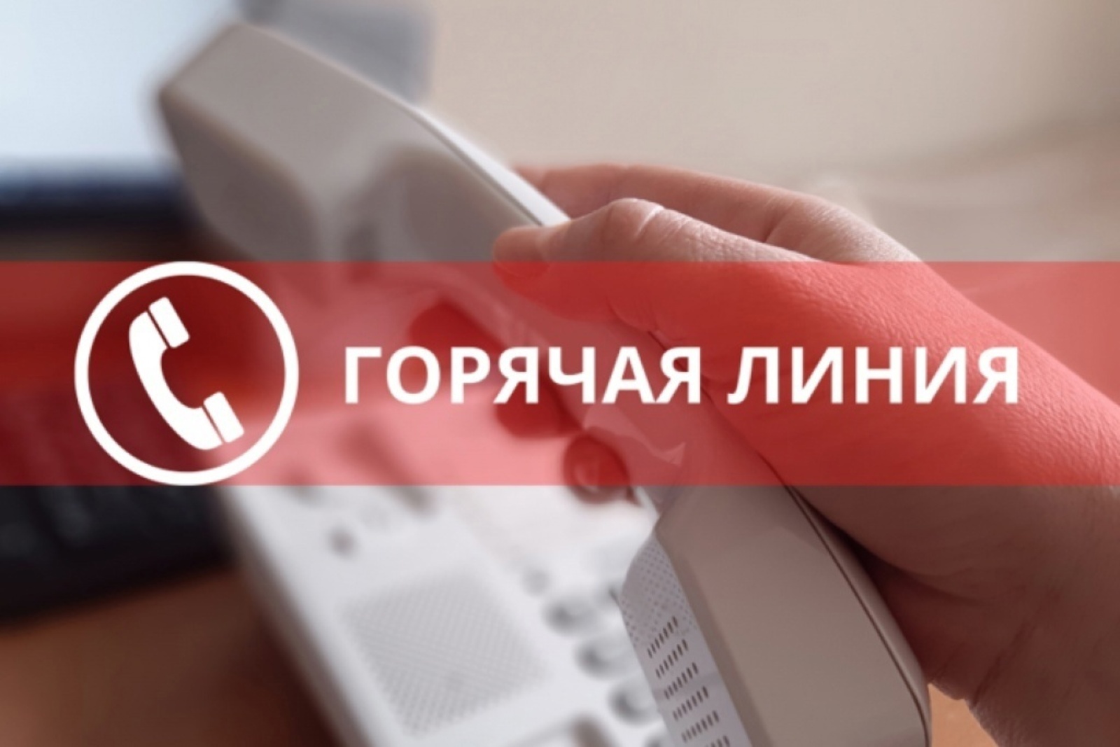 «Горячая линия» по профилактике клещевого энцефалита.