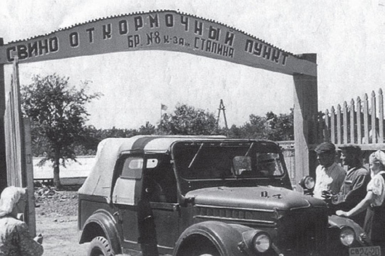 К 100-летию Новоалександровского района. Страницы истории нашего округа. К 100-летию Новоалександровского района. Страницы истории нашего округа.