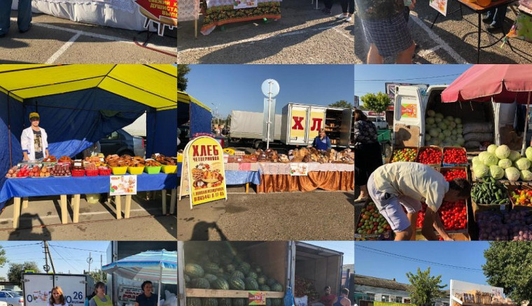 Ярмарка посвященная Дню Ставропольского края. Ярмарка посвященная Дню Ставропольского края.