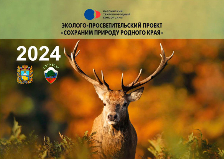 По страницам Красной книги родного края. По страницам Красной книги родного края.